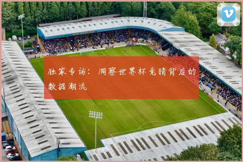 独家专访：洞察世界杯竞猜背后的数据潮流