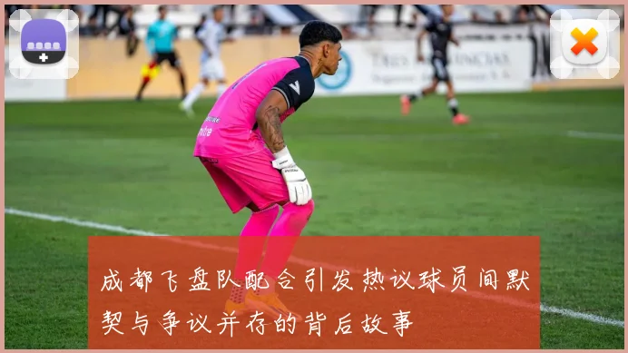 成都飞盘队配合引发热议球员间默契与争议并存的背后故事