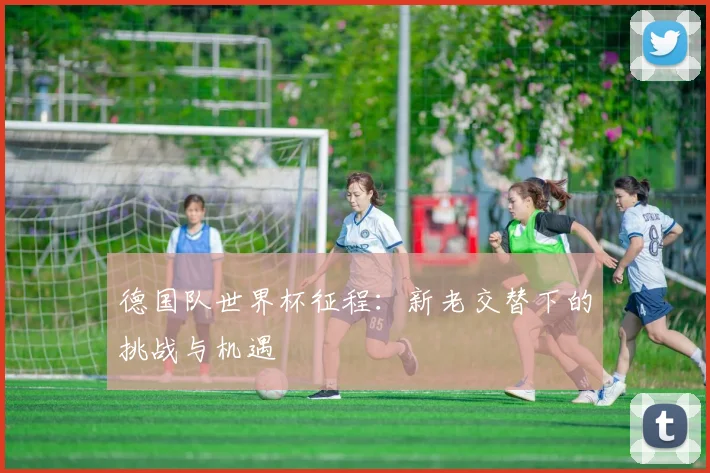 德国队世界杯征程：新老交替下的挑战与机遇